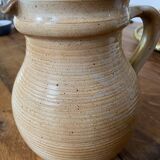Water pitcher in marsh sandstone