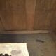 Buffet country in oak