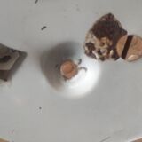Antique Ceiling Light