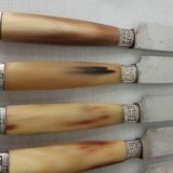 Box 12 old table knife blade steel blade Virole Louis XVI horn handle