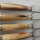 Box 12 old table knife blade steel blade Virole Louis XVI horn handle
