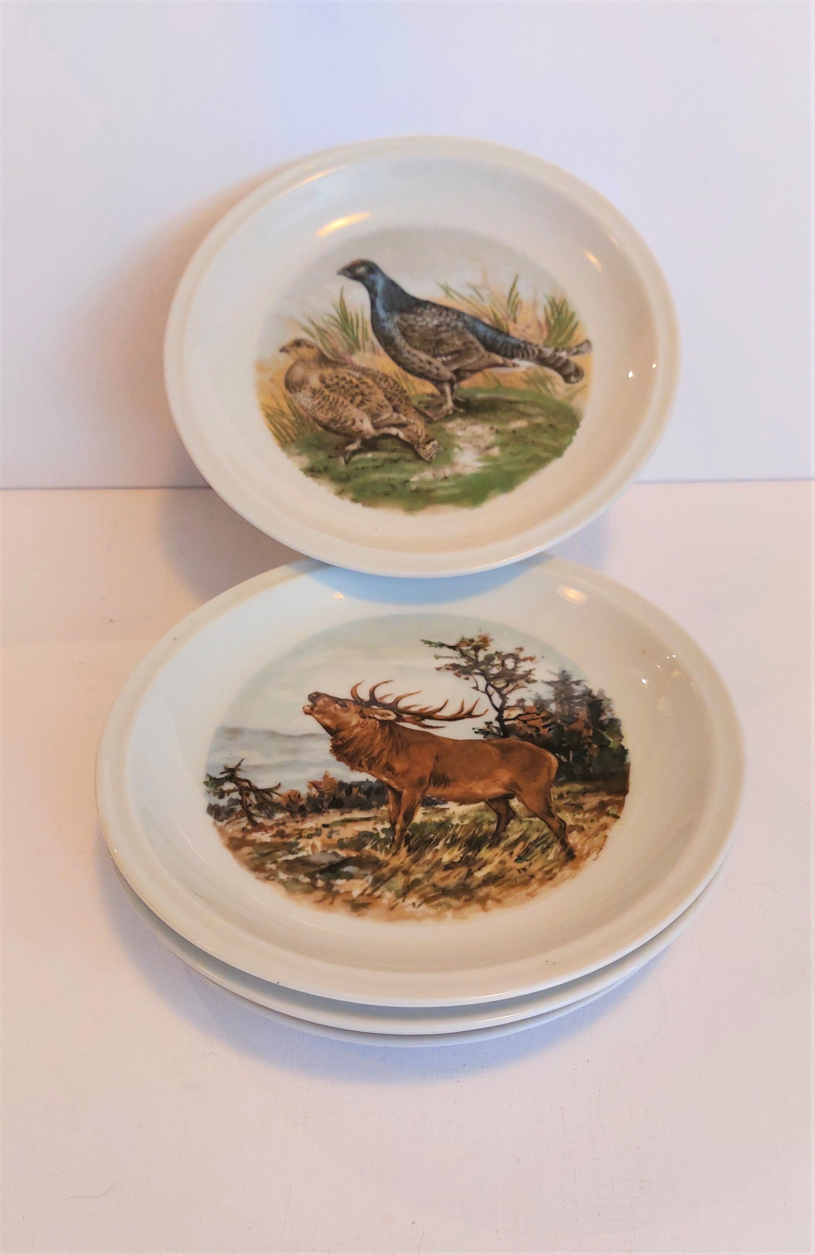 set of 5 plates Bavaria