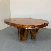 Brutalist Wabi Sabi mid-century coffee table made of natural biological burl wood.