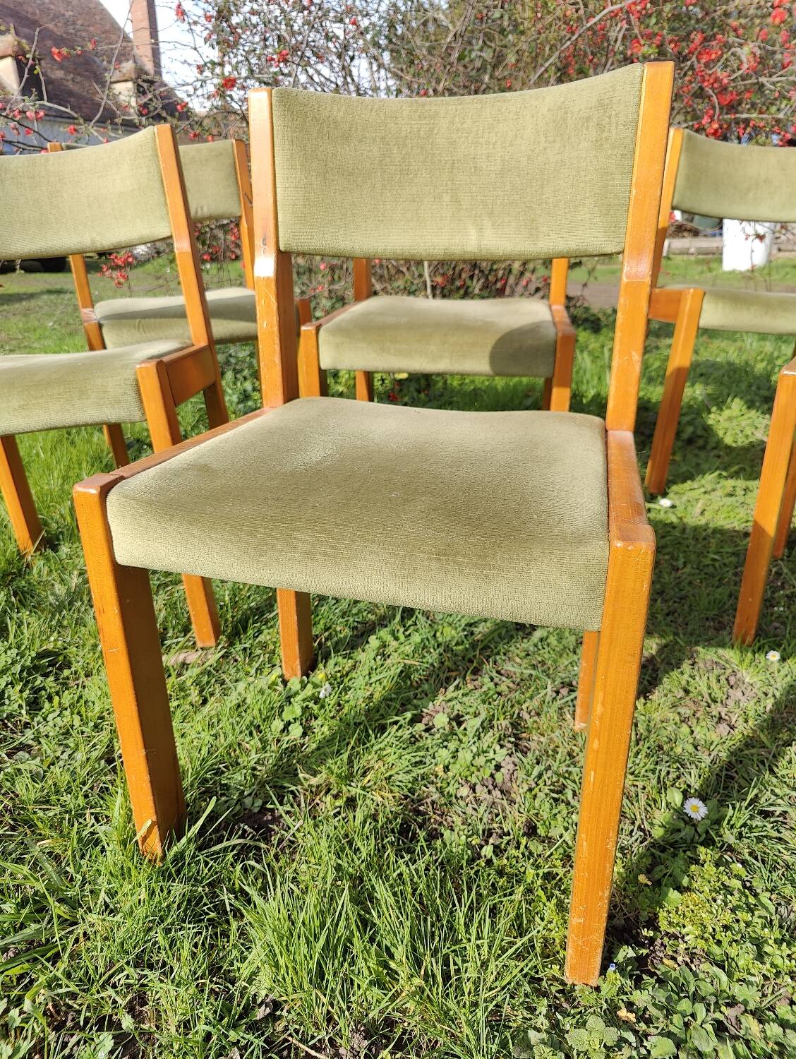 Set of 6 wooden chairs with velvet seat