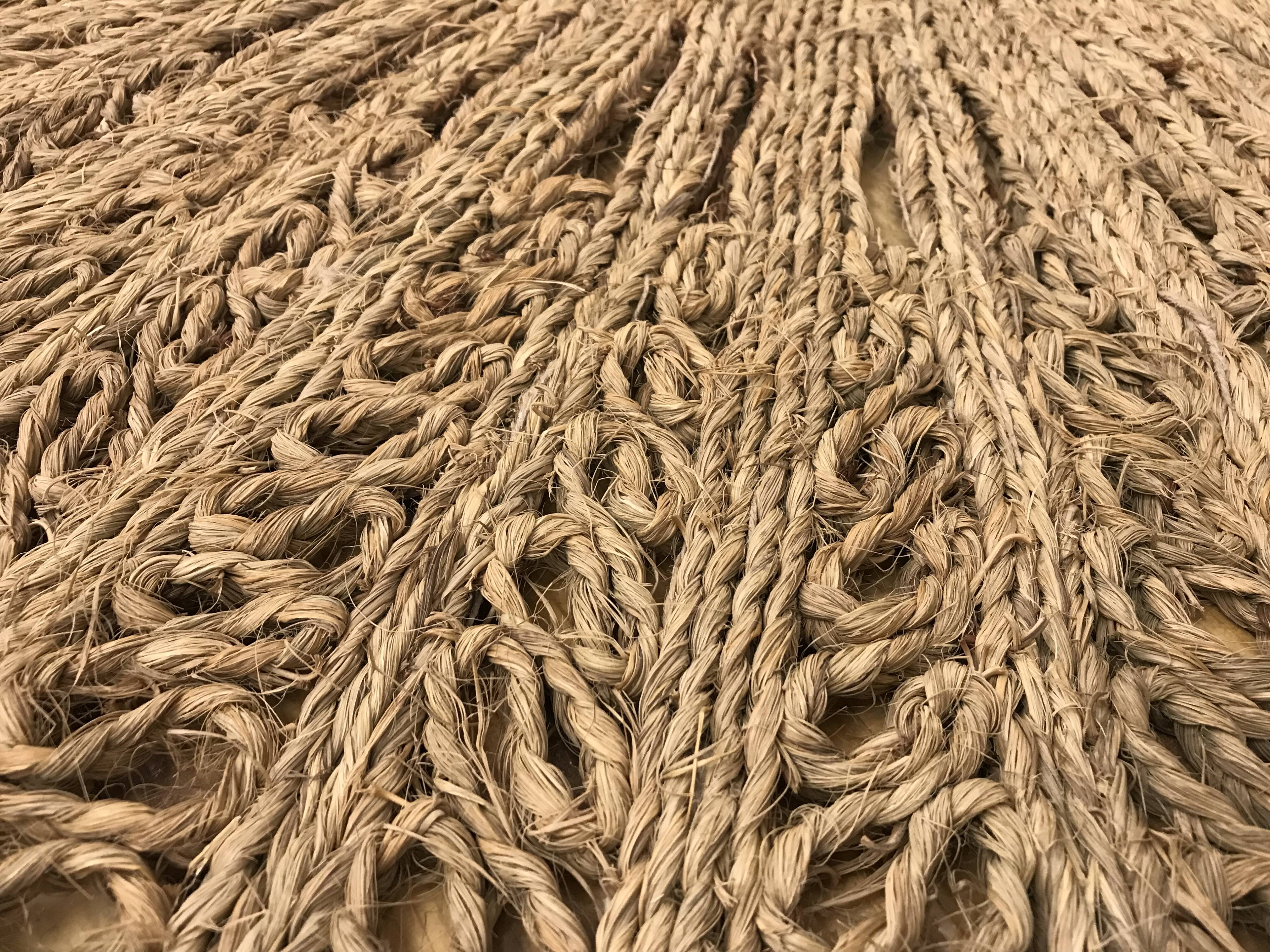 Alfonz braided rug
