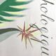 International art deco ornithological exhibition. Original poster painted in gouache.