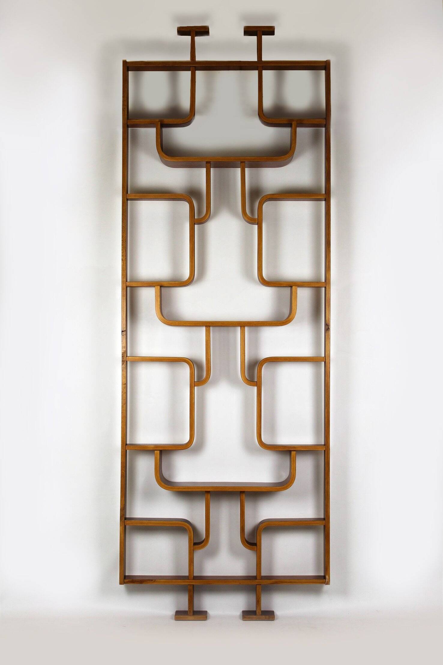 Restored Mid-Century Room Divider by L. Volak for Drevopodnik Holesov, 1960s