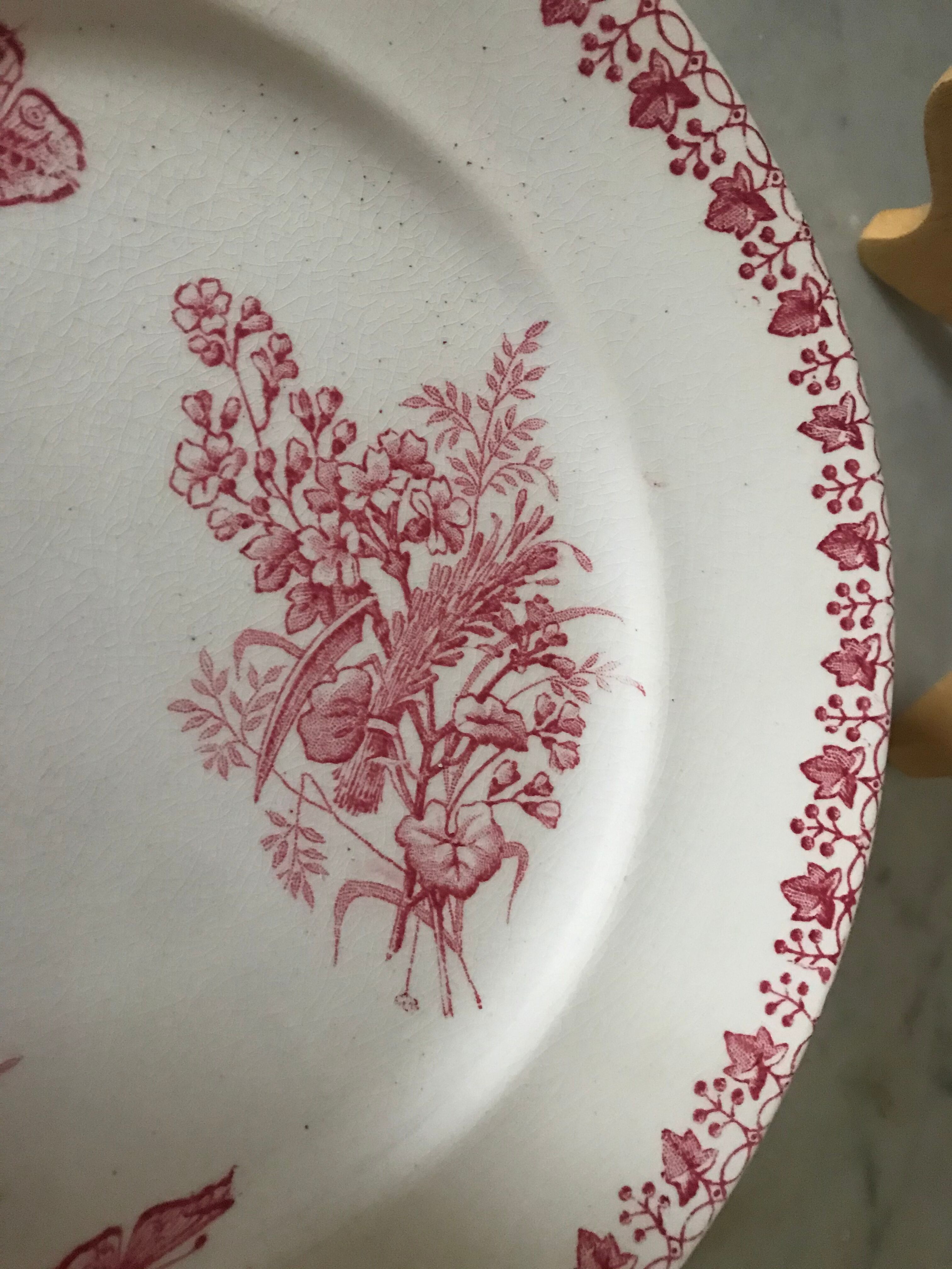 Lot of 9 plates iron earth circa 1900