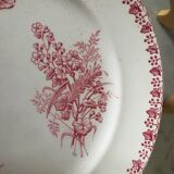 Lot of 9 plates iron earth circa 1900