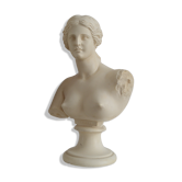 Buste Aopoaith Venus de Milo
