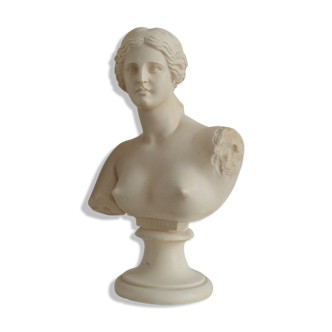 Bust Aopoaith Venus de Milo