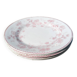 Iron earth dessert plates