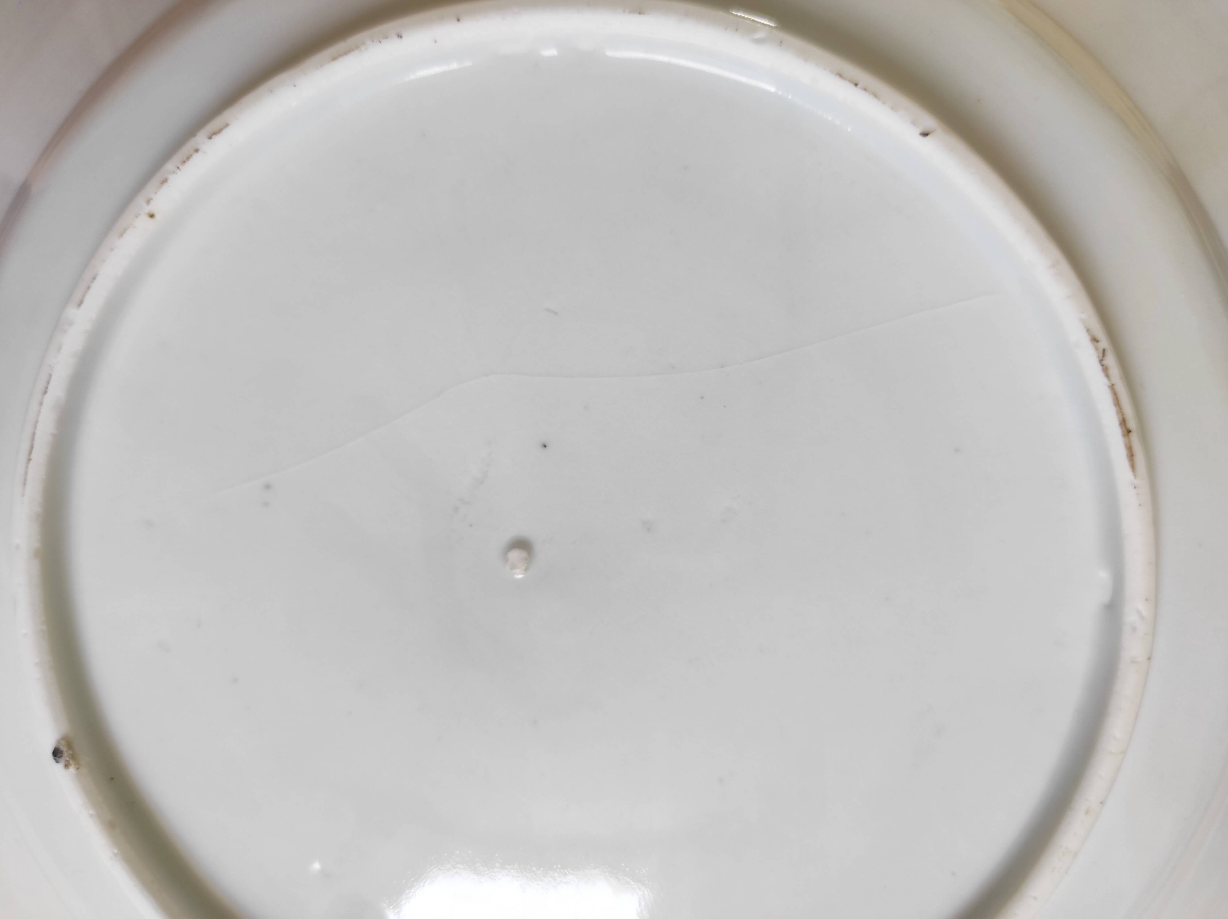 Japanese plate circa 1900 birds and insects