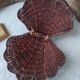 Boite coquillage vintage en osier