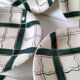 5 Sarreguemines plates model Cambo – Basque decoration – vintage 1950s