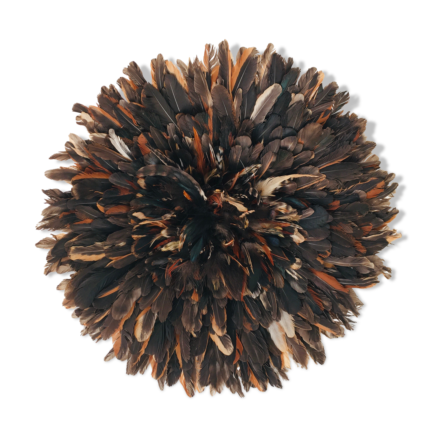 Speckled black jujuhat 55 cm