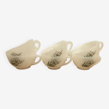 Set of 6 cups arcopal "Narcissus"