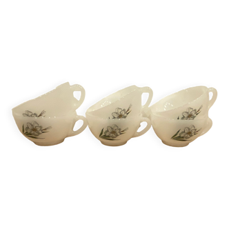 Set of 6 cups arcopal "Narcissus"
