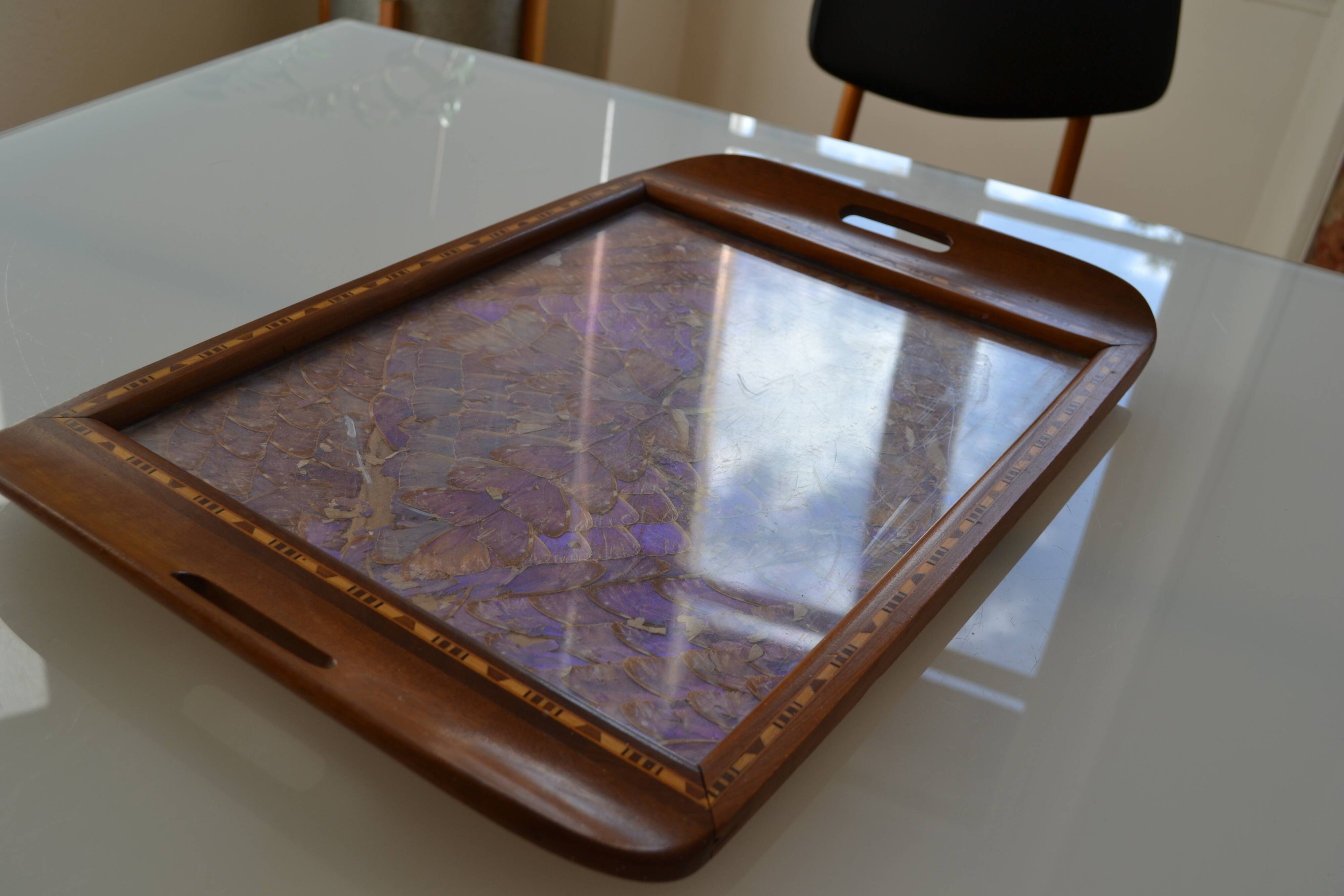 Plateau butterfly wings under glass exotic wood and marquetry Brazil
