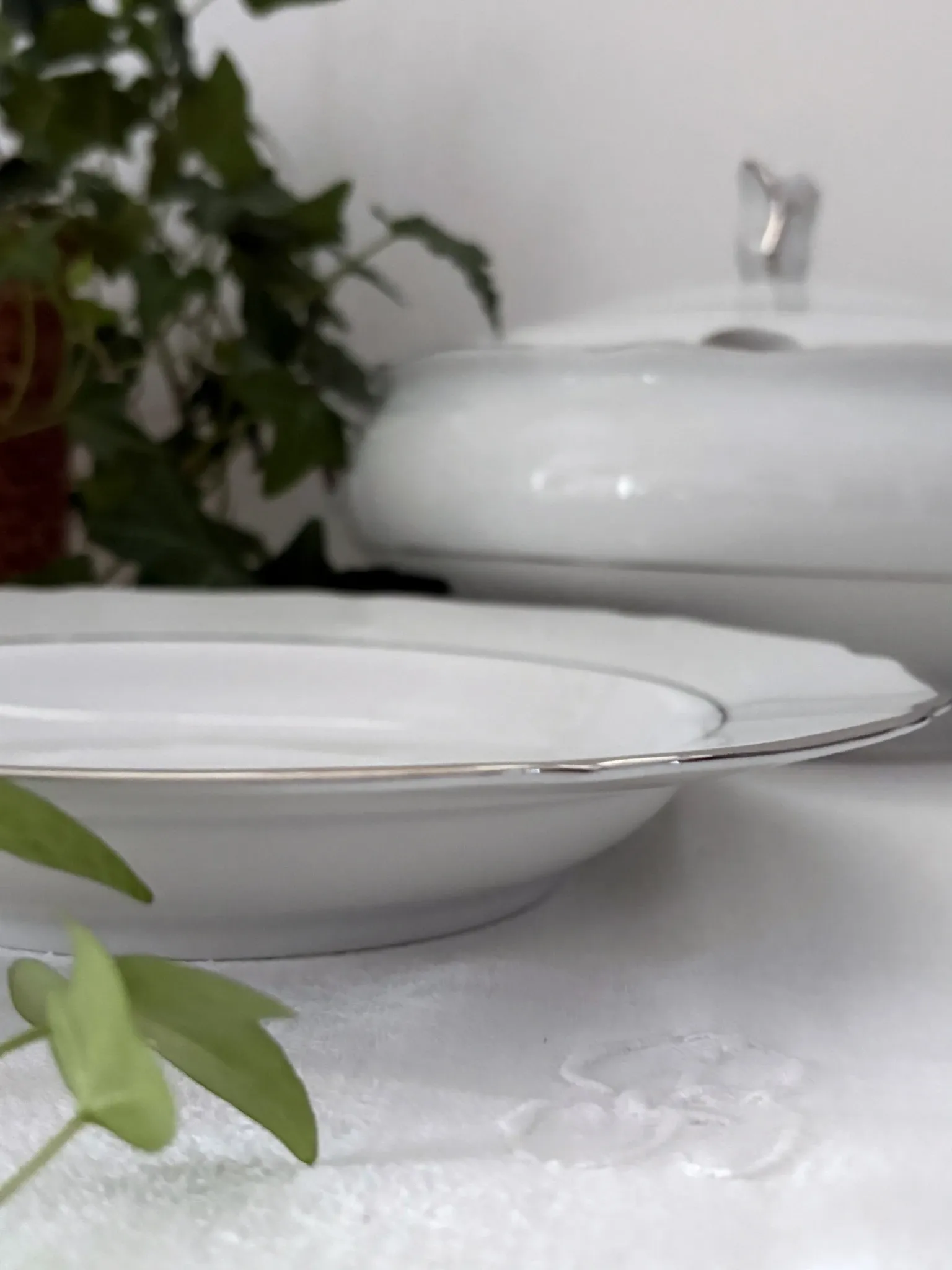 6 deep plates in white porcelain