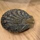 Vintage Seashell Design Brass Ashtray