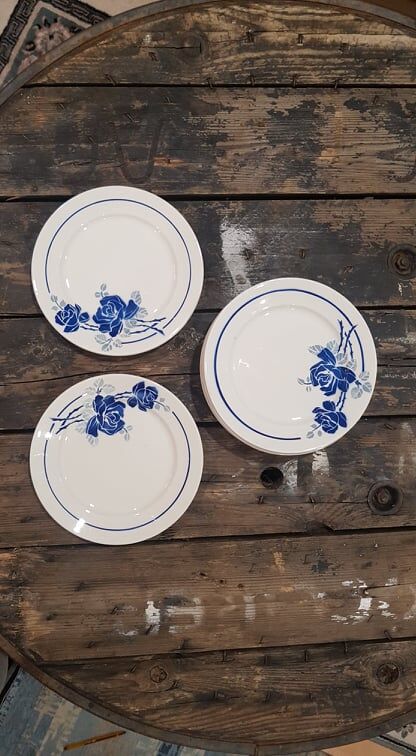 Lot 10 plates Badonviller models Roses