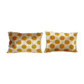 Pair of cushions