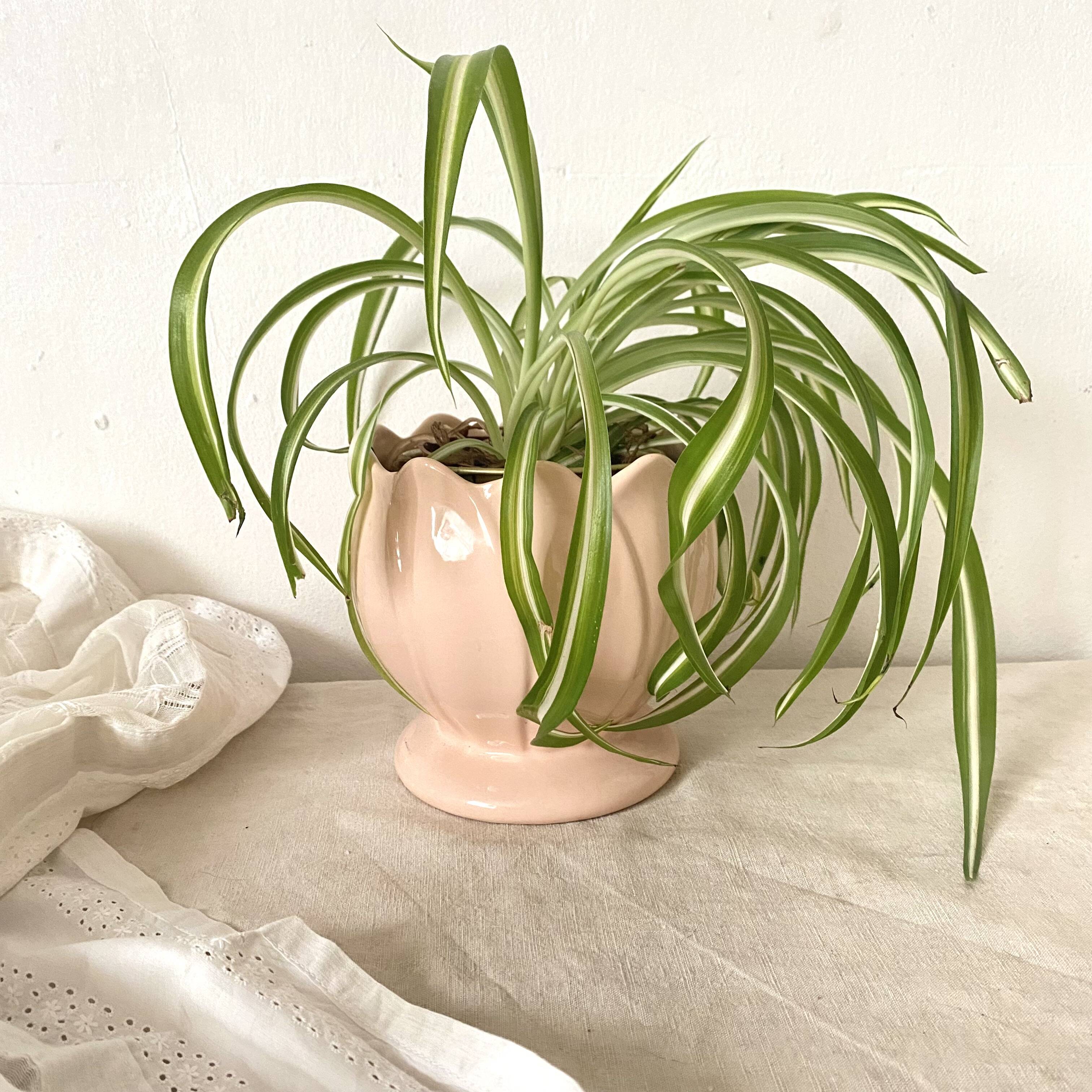 Lotus flower pot cover, 80s