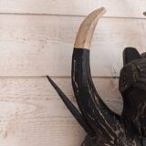 Ethnic/tribal wooden mask