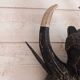 Ethnic/tribal wooden mask