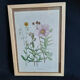 Botanical plate