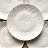 Flat fish plates