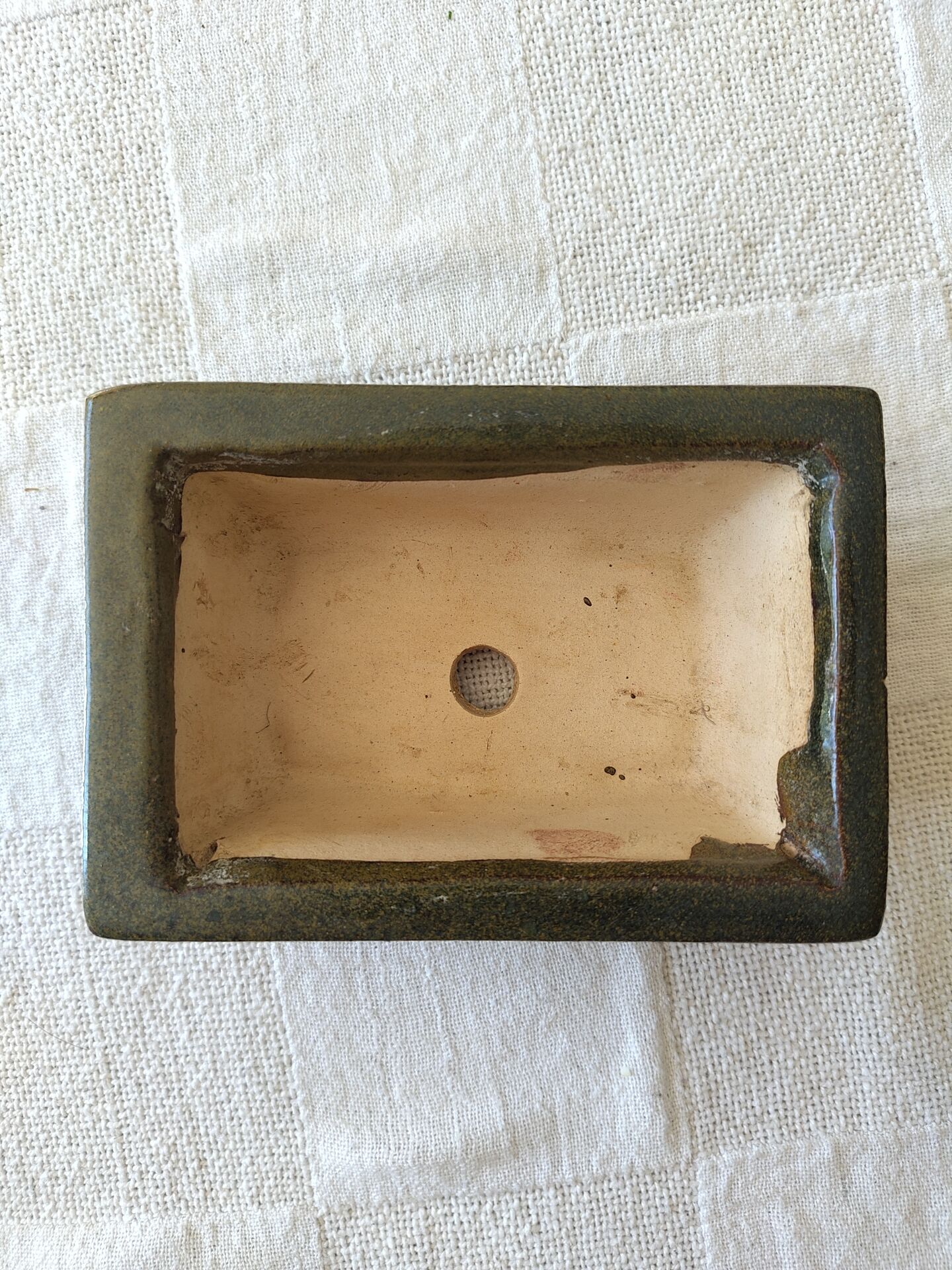 Pot bonsaï ou cactus rectangulaire vert