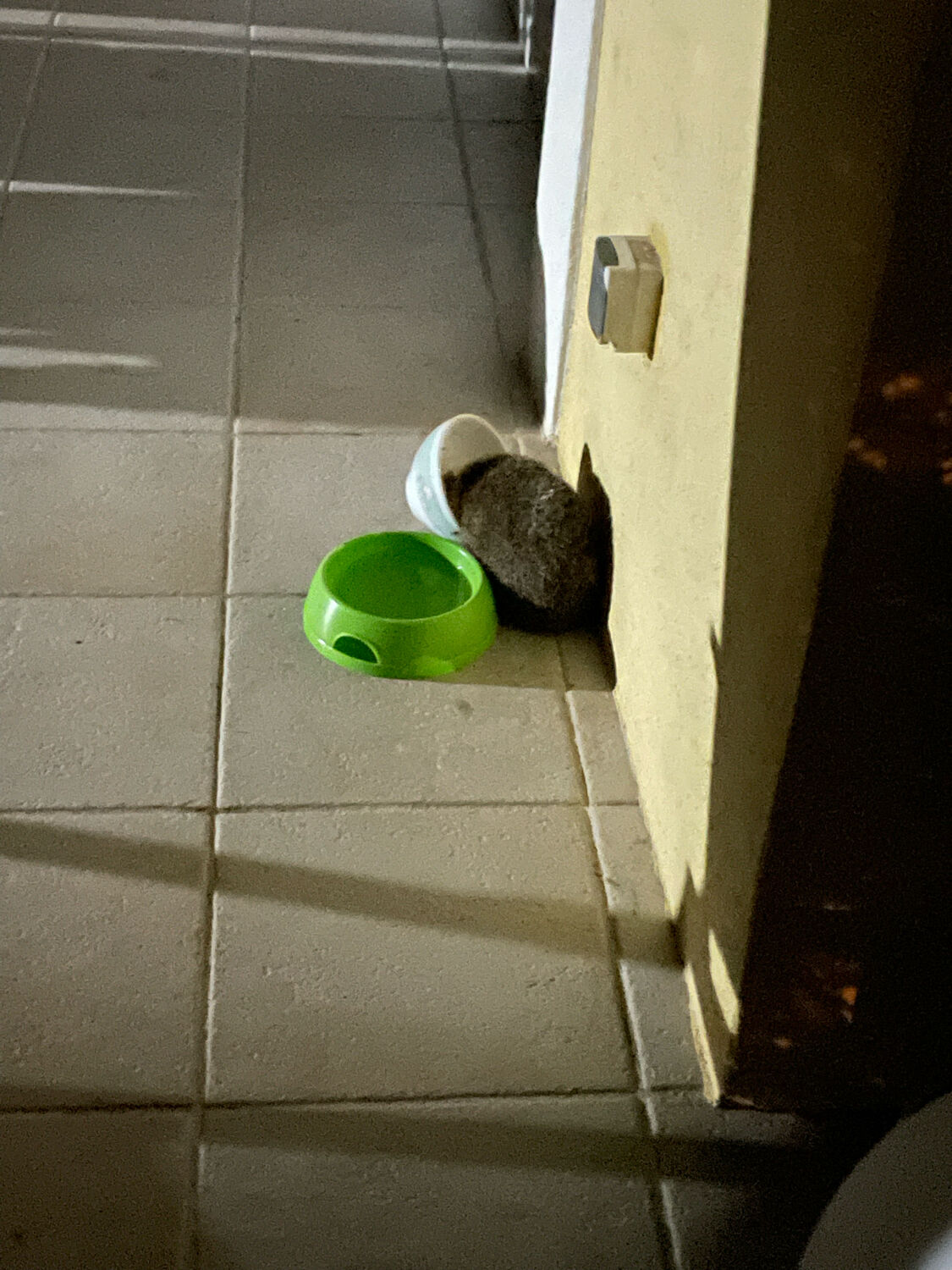 Commode