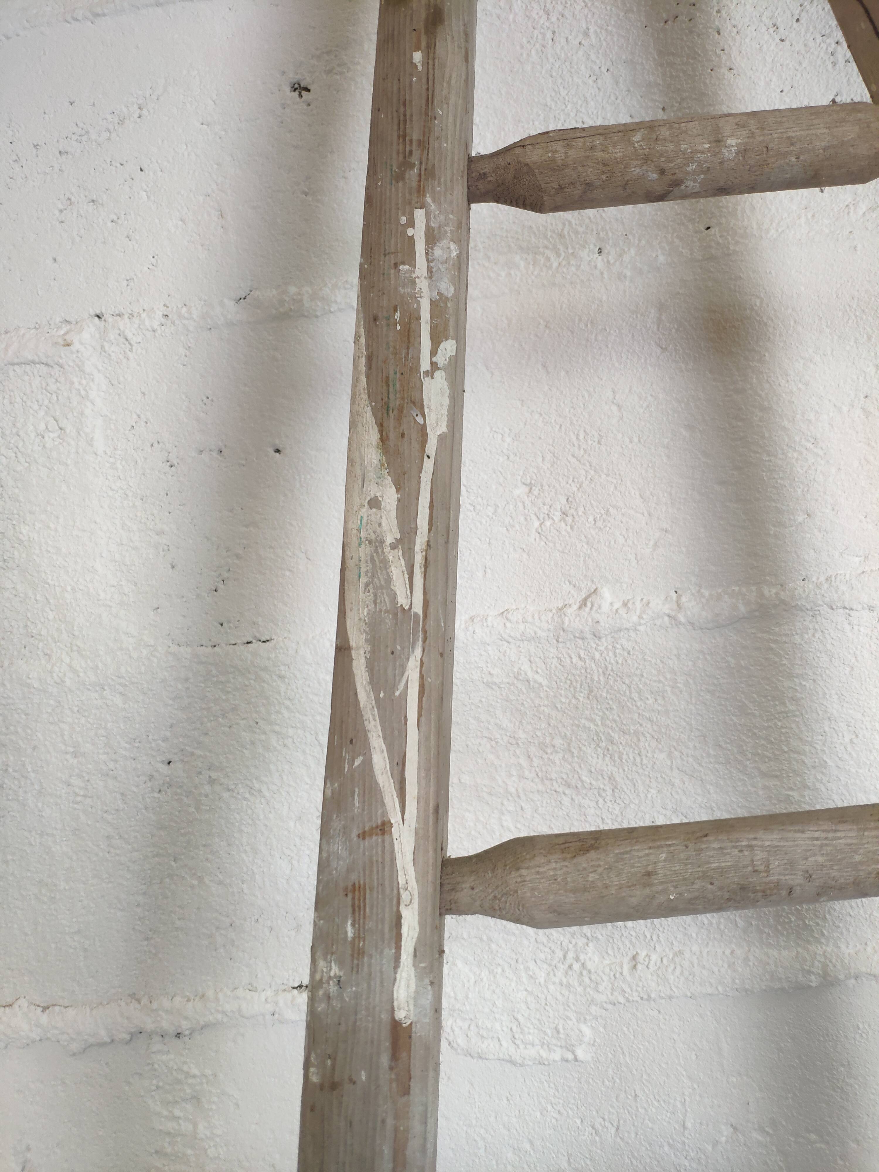 Old fruit tree ladder Etablissements Masson Chateaubriand 2.40m