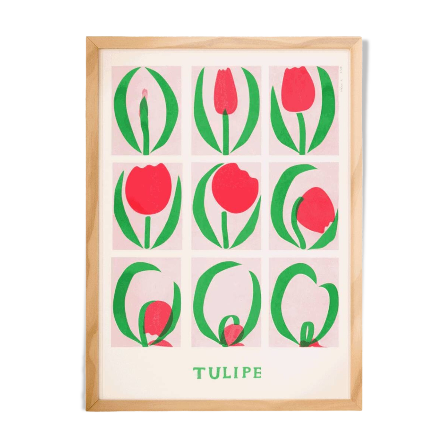 Poster, Tulip