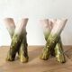 Pair of Art Nouveau branch slip vases