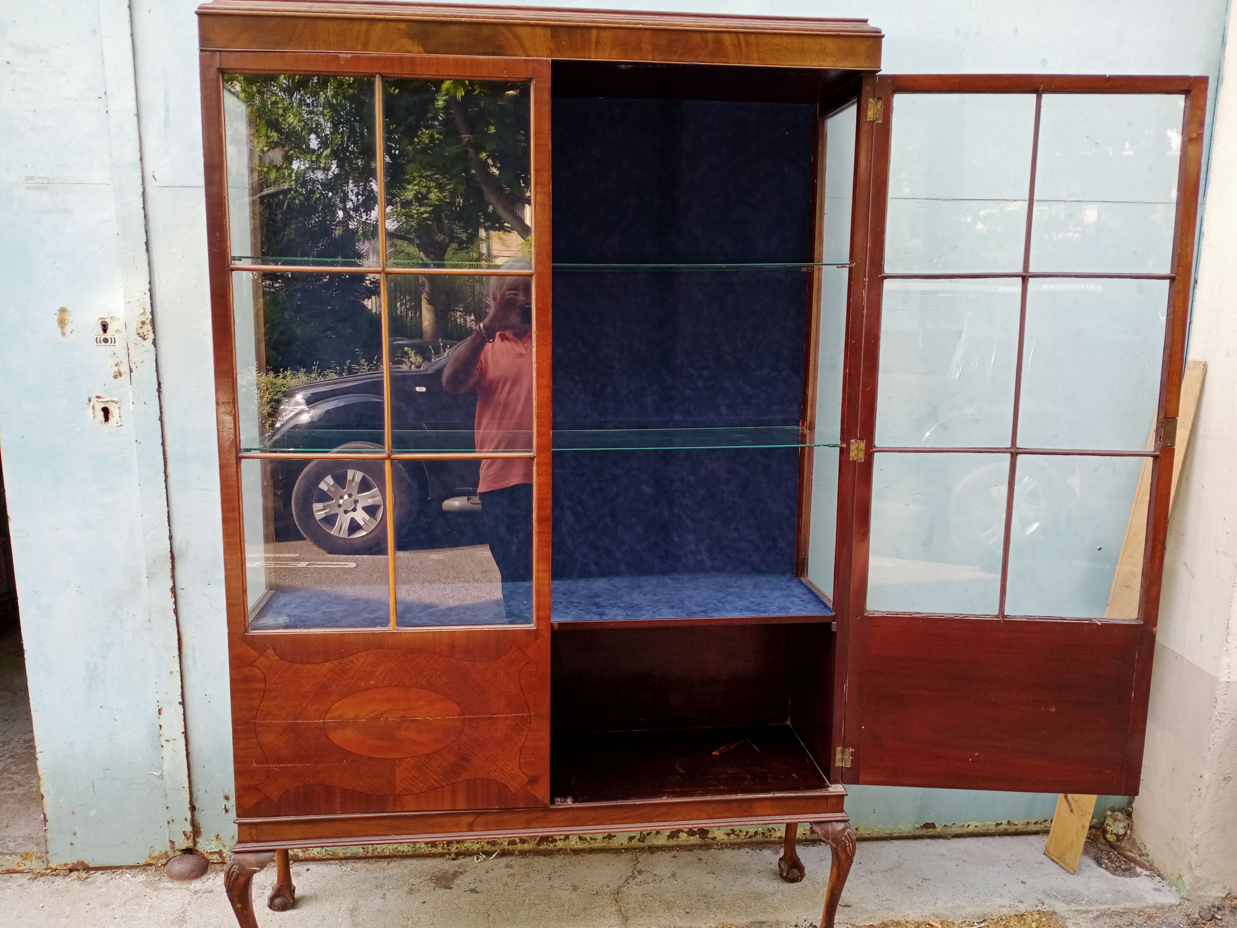 Showcase english mahogany