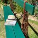 Former public bench of Paris