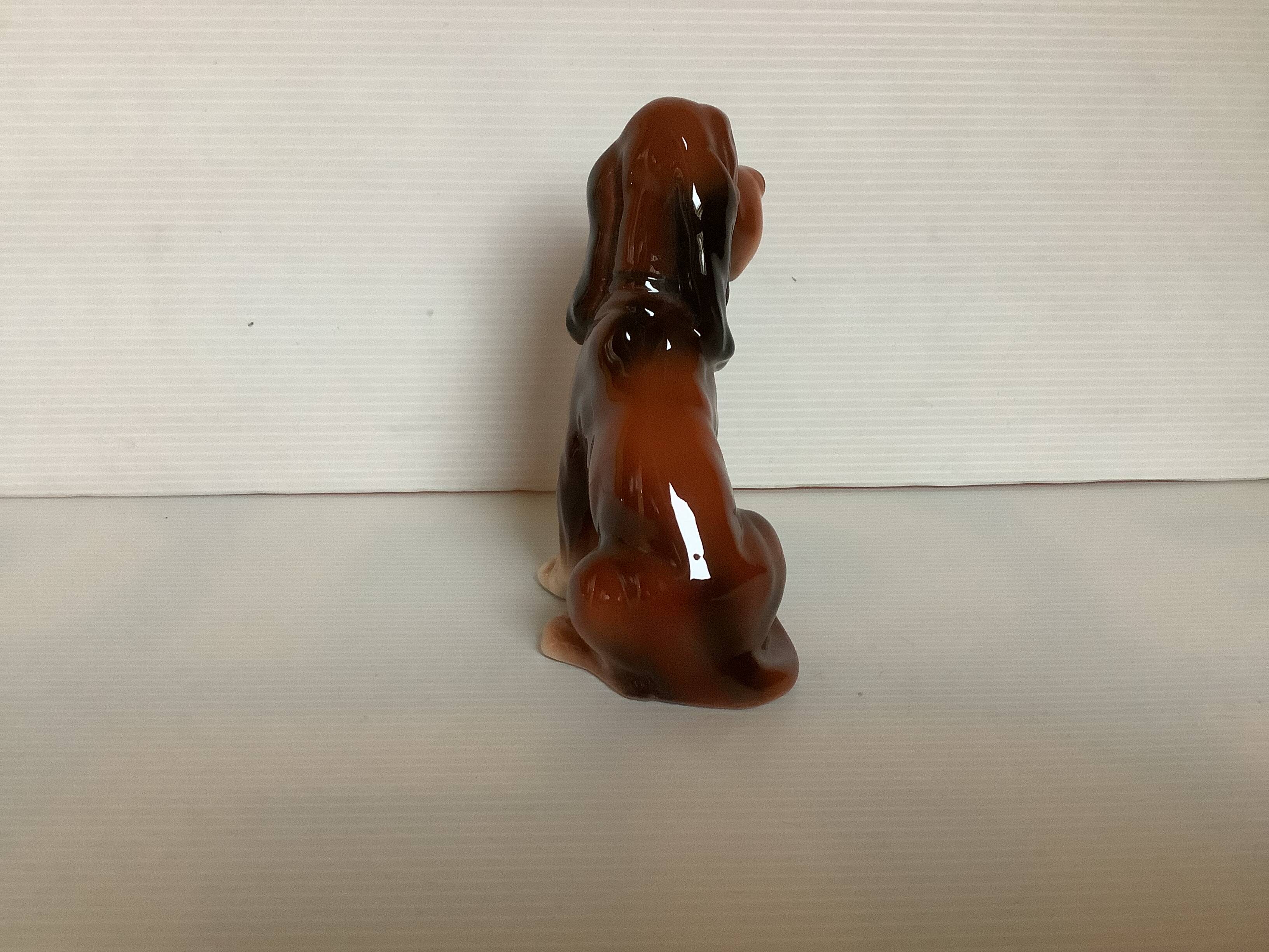 Saint Hubert hunting dog