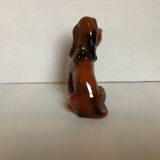 Chien de chasse Saint Hubert