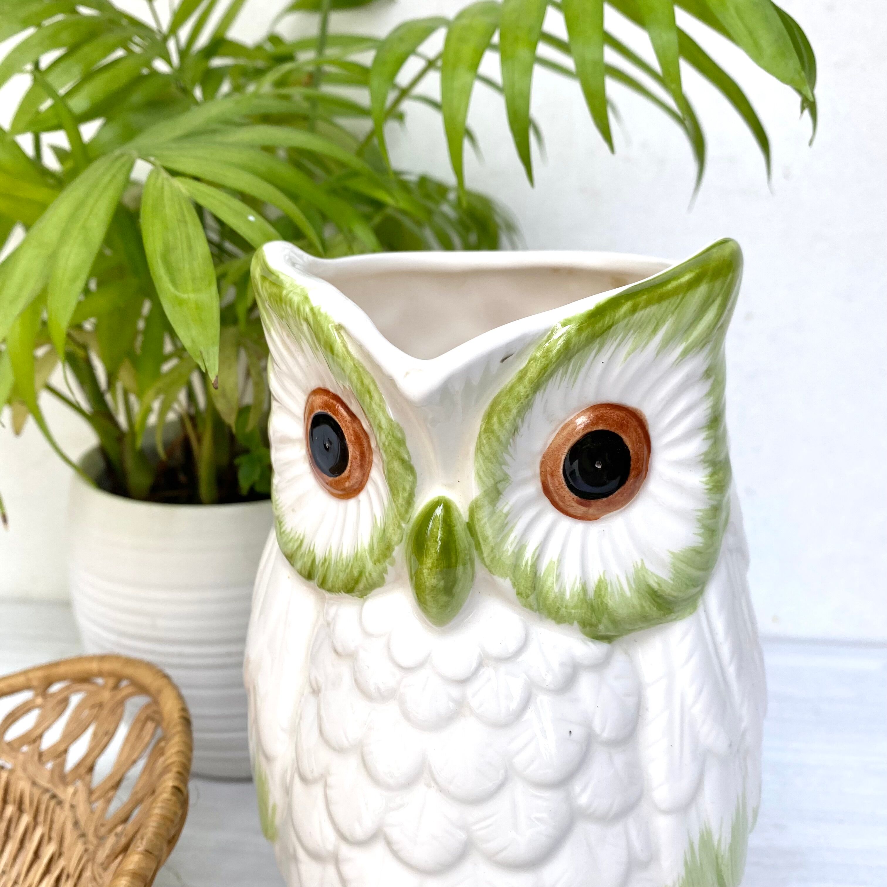 Pitcher in slurry owl