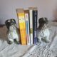 Set of 2 dogs bulldogs tighten biscuit books