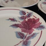 11 Flat plates flower Moulin des Loups and hamage