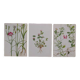 Lot de 3 planches botaniques Gesse Lamier et Nielle des blés