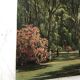 J.Ryck oil painting on cardboard