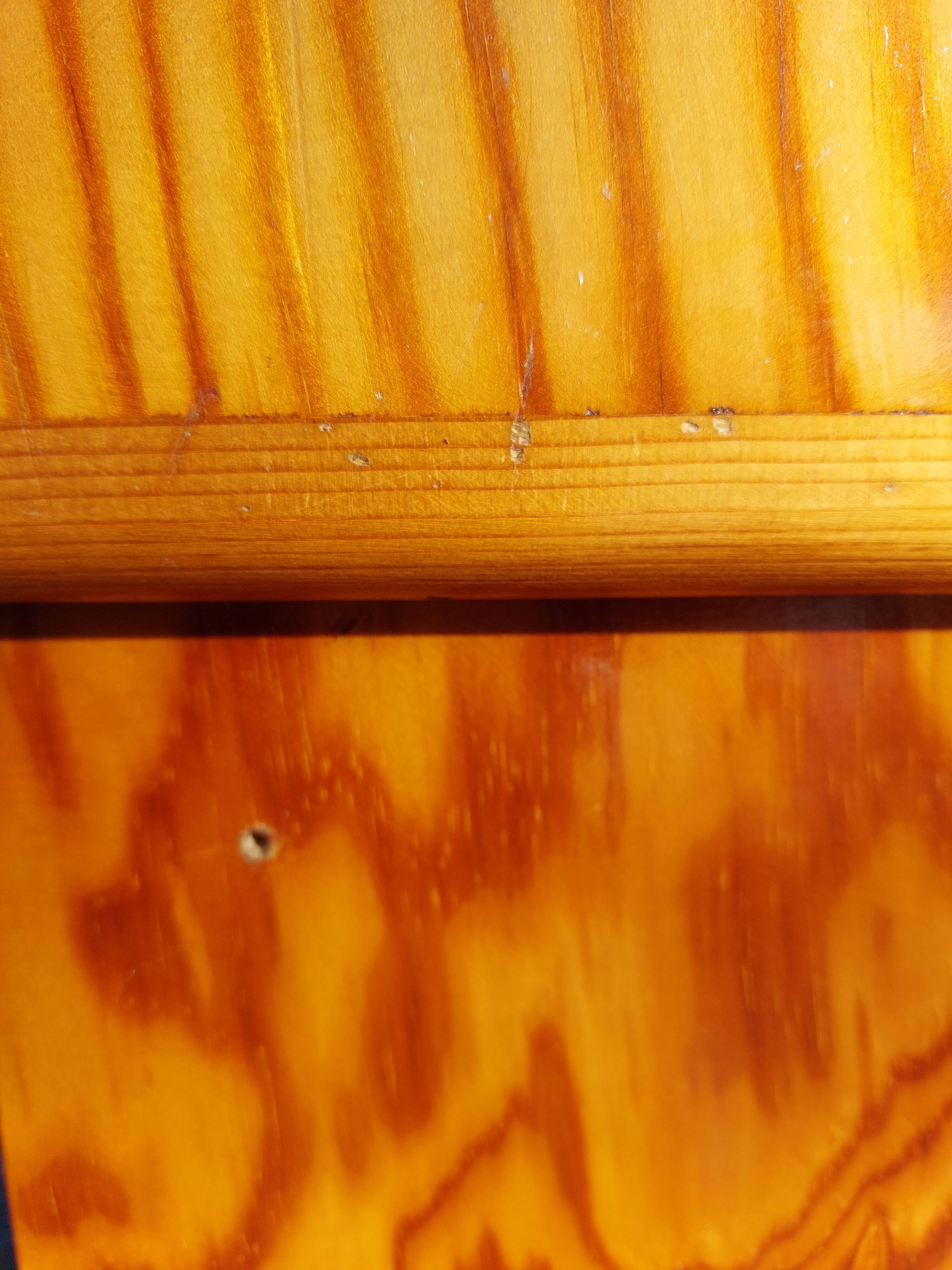 Whole Mado buffet, golden honey color