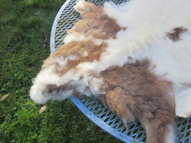 Sheepskin