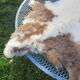 Sheepskin