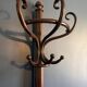 Coat rack - Thonet parrot in bent wood